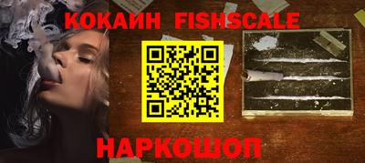 гидра Будённовск