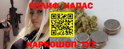 гидра Будённовск