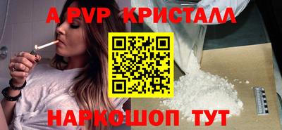 гидра Будённовск