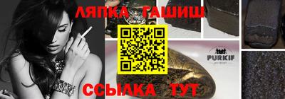 гидра Будённовск