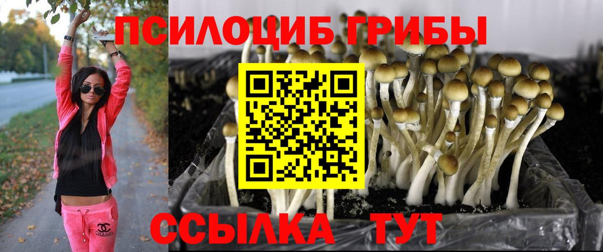 Псилоцибиновые грибы ЛСД Оренбург