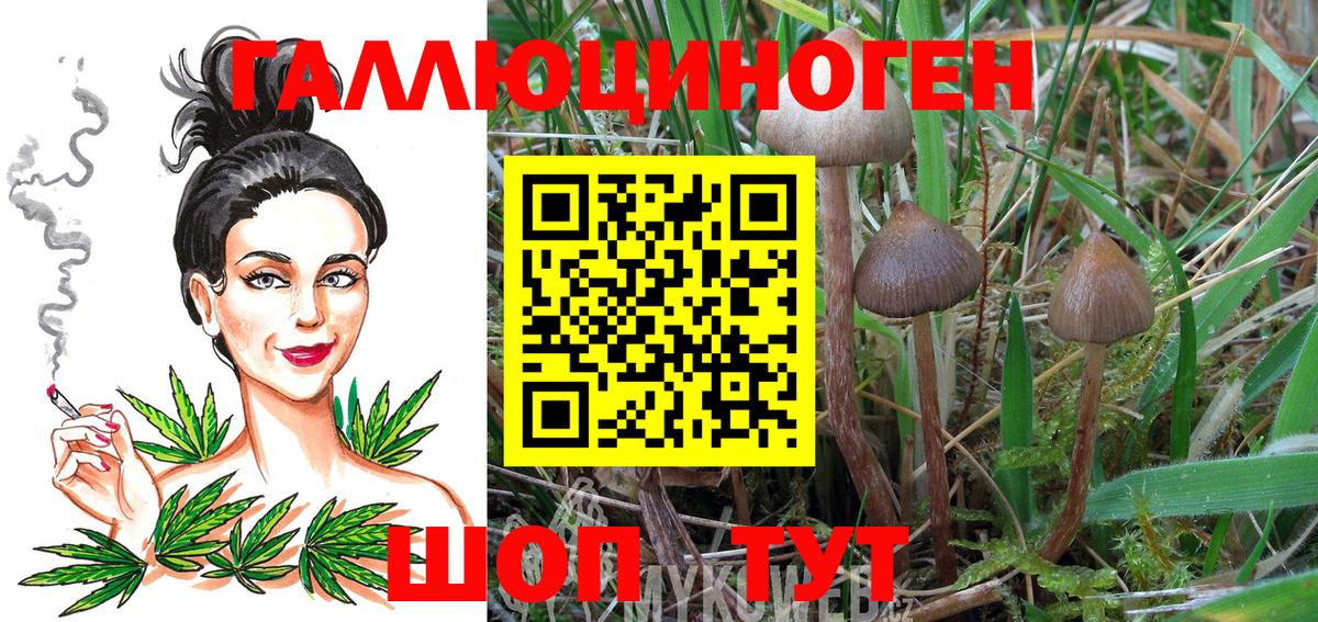 Галлюциногенные грибы MAGIC MUSHROOMS  Вход с VPN  Оренбург 